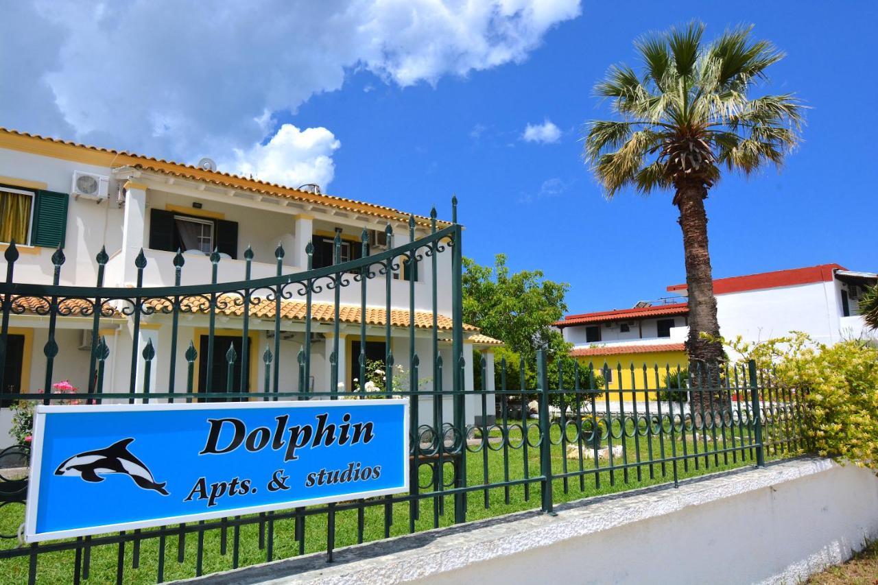 Dolphin & -next To The Appartement *