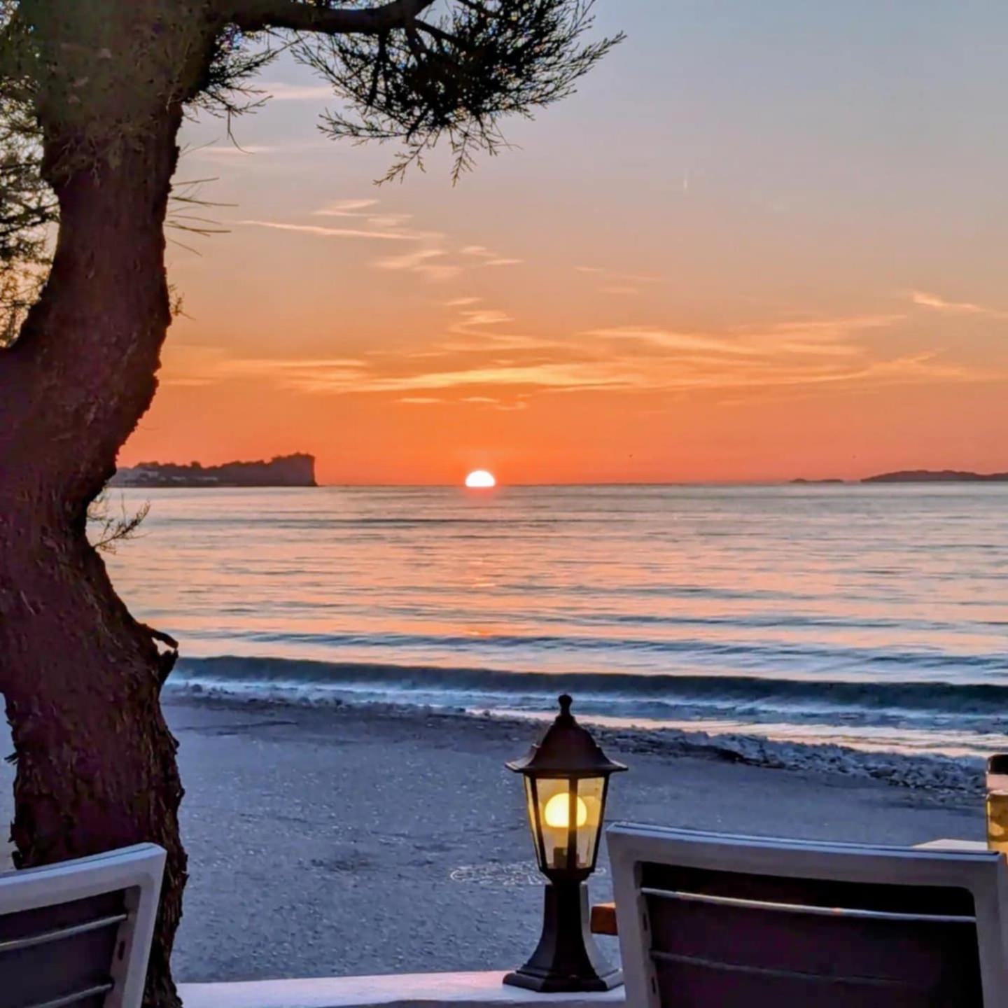 Dolphin & -next To The Appartamento *