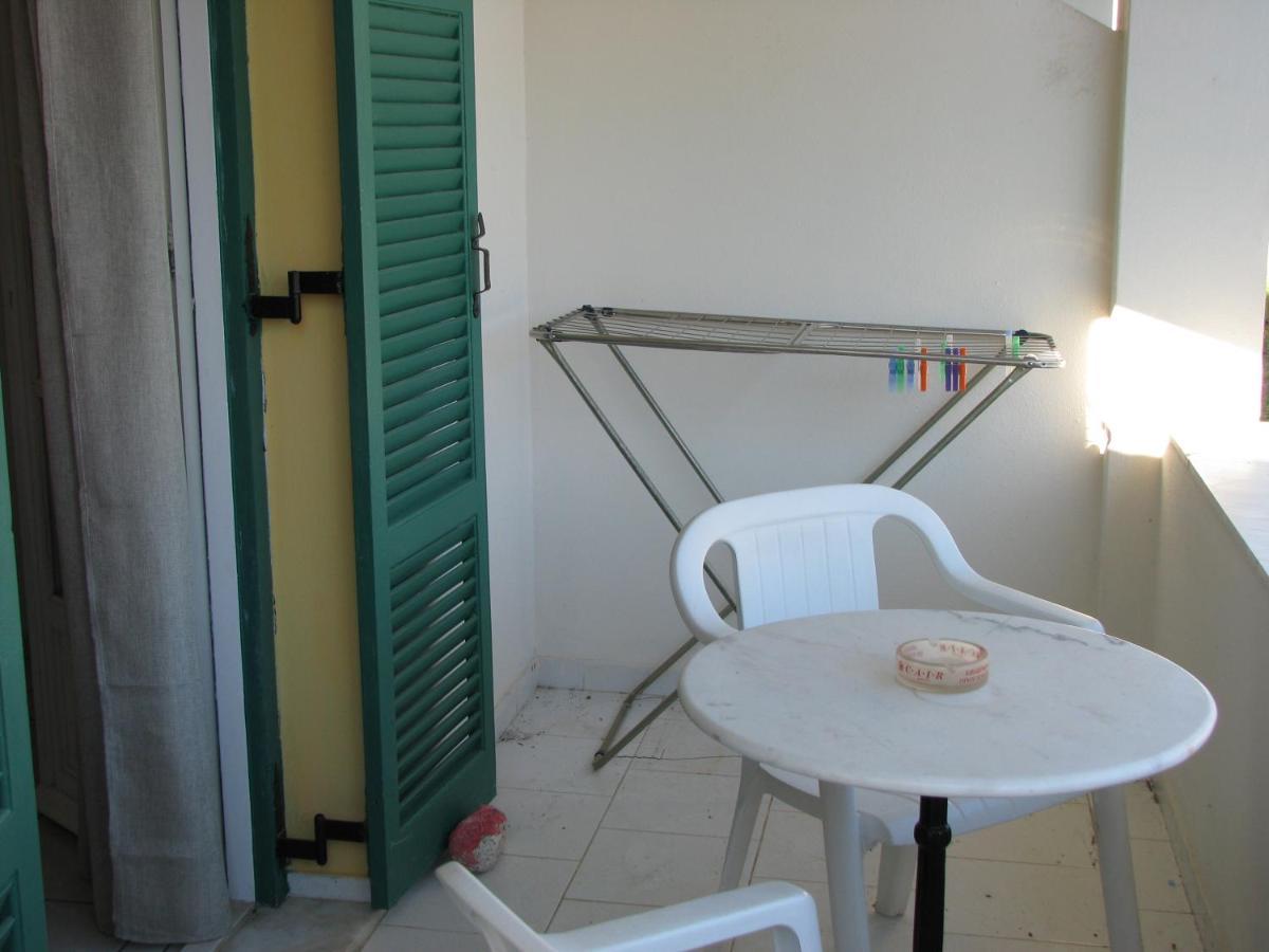 Dolphin & -next To The Appartement *
